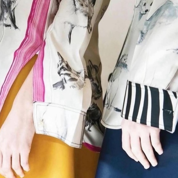 Celine Vintage Silk Shirt Blouse - Phoebe Philo Runway Winter 2015 Collection - Picture 8 of 9